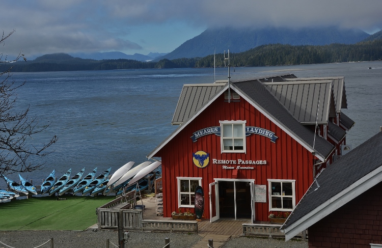 looking out over Tofino Inlet